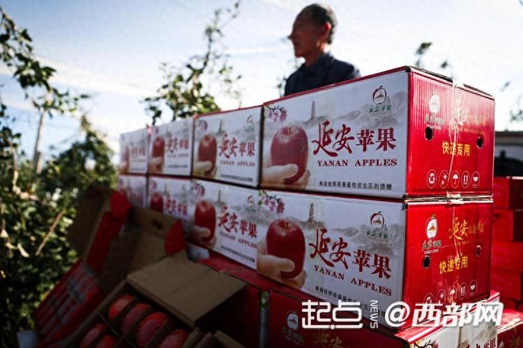 好吃到上天的延安苹果，到底有多好吃？  第1张