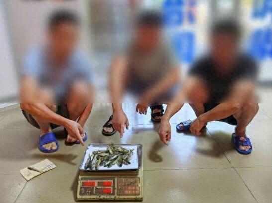 光天化日下，3 名男子竟敢在河里大张旗鼓地非法捕捞  第1张