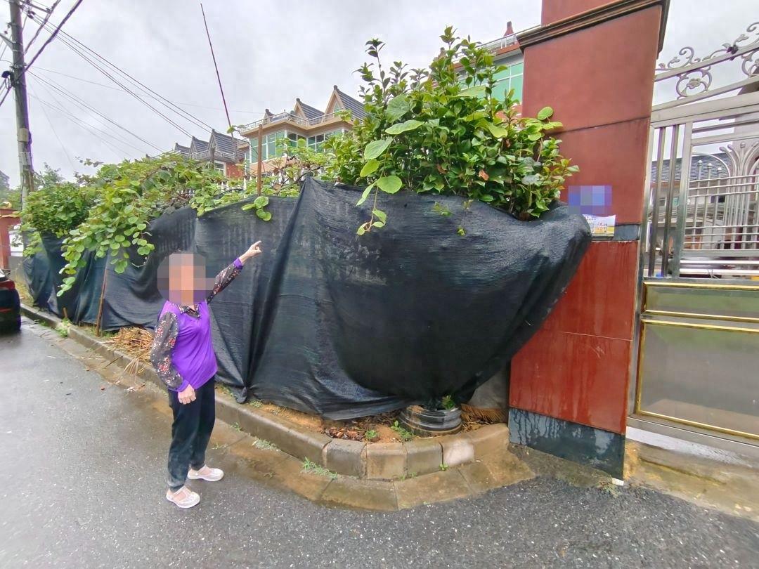 女子一夜之间盗走村民辛苦种植的猕猴桃，她是如何做到的？  第1张
