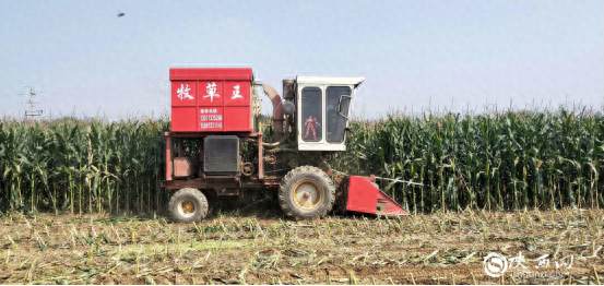 农机罢工不用怕，周至县有个农机神医杨延勉  第1张