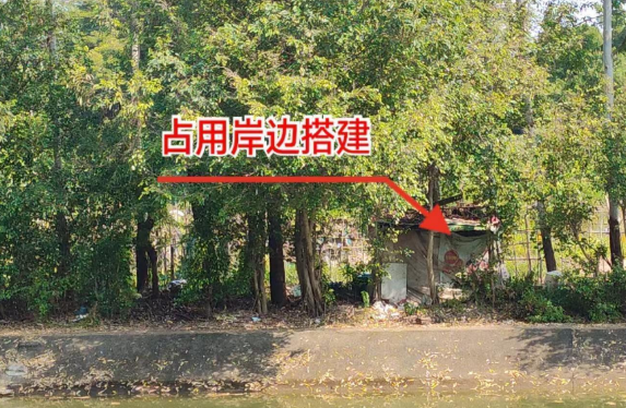 沙田镇动真碰硬！坚决推进巡查整改，恢复河道原貌  第2张