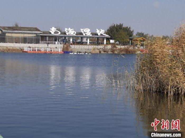 塞外西湖乌篷船与红嘴鸥亲密接触，画面太美不敢看  第1张