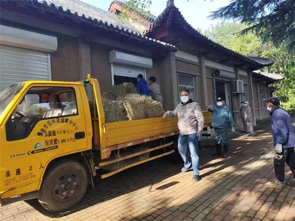 32 吨羊草已备好！南山公园动物越冬无忧，你还在等什么？  第3张