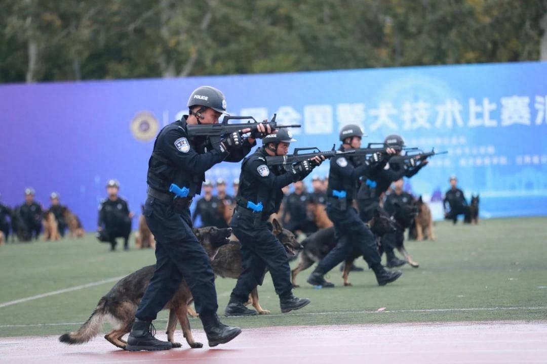 第六届全国警犬技术比赛圆满收官，辽宁公安辅警齐连超携警犬球球勇夺三等奖  第1张