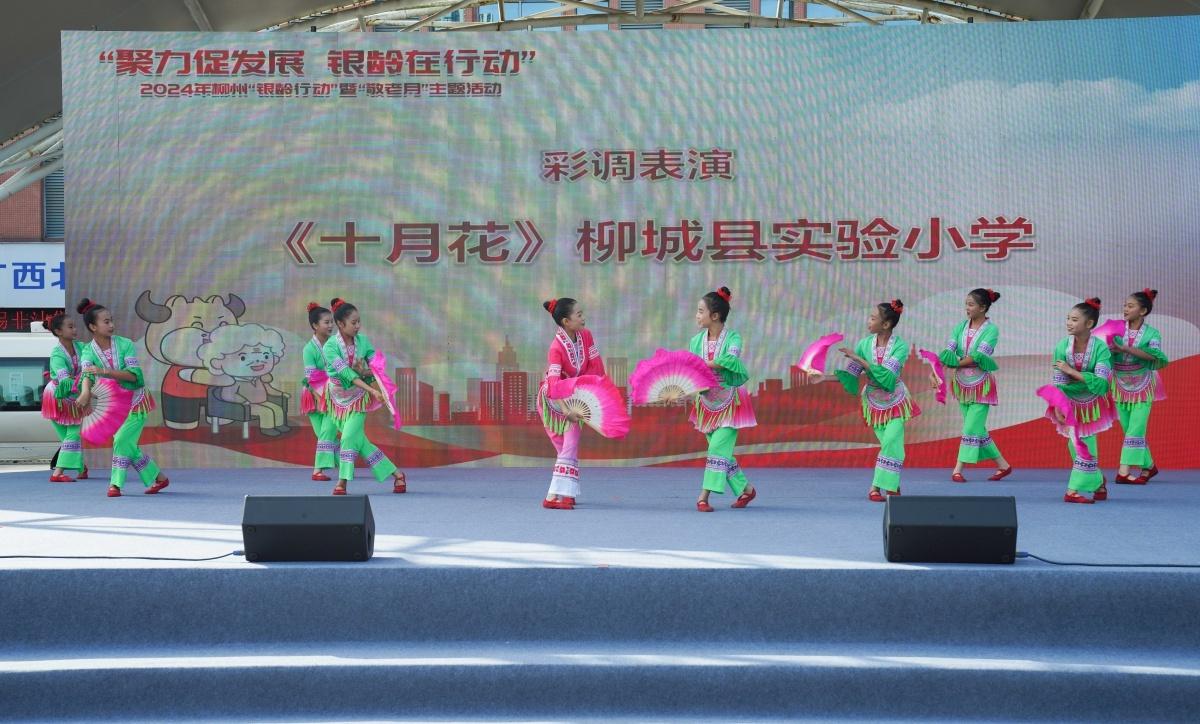 柳州举办银龄行动，助老人提升获得感、幸福感和安全感  第2张