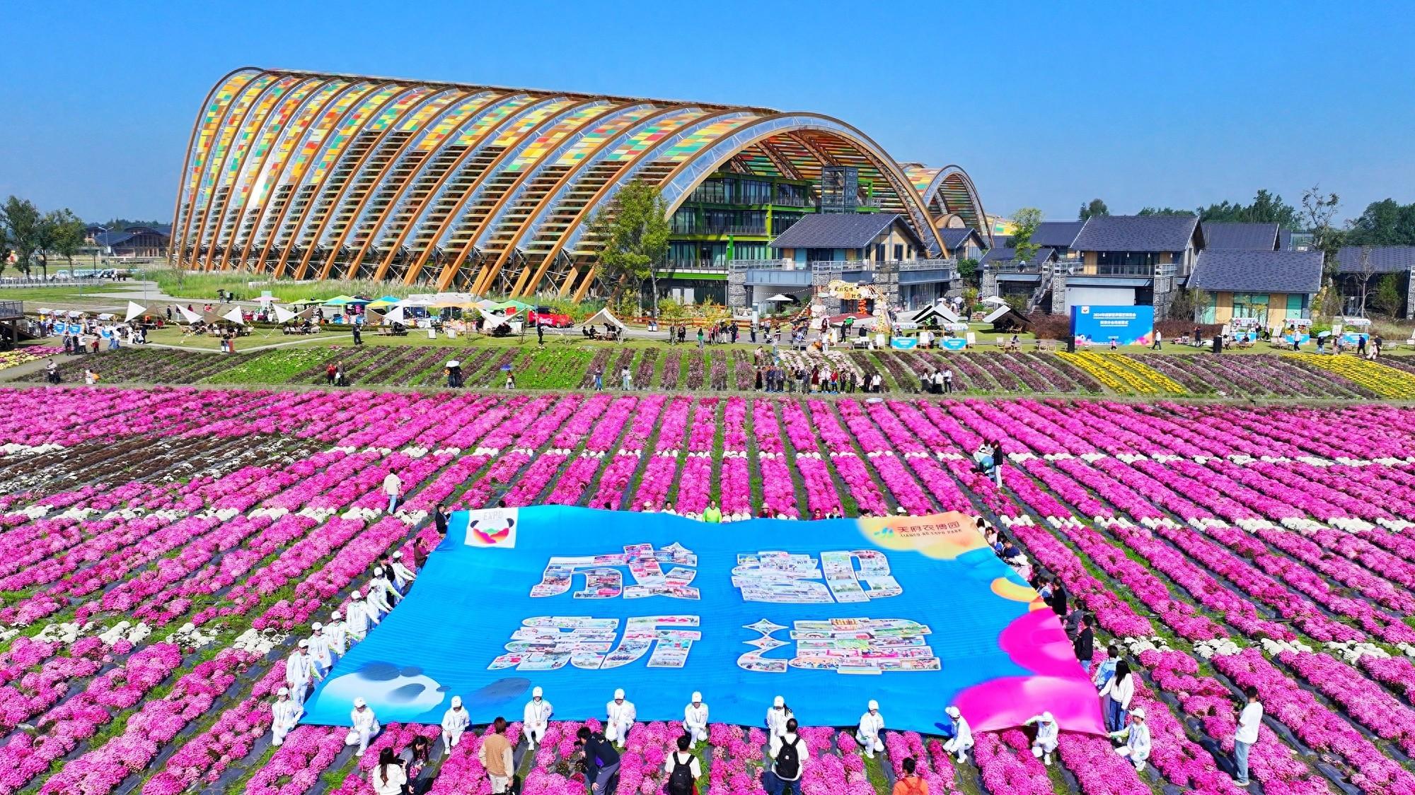 2024 年成都世园会圆满落幕，新津分会场精彩活动等你来体验  第1张