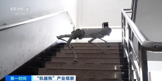 惊呆了！机器狗竟能负重爬泰山，未来挑山工要失业了？  第2张