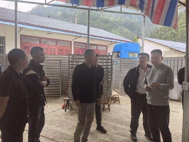 万企兴万村，益阳市政协助力打造中药材全产业链  第2张