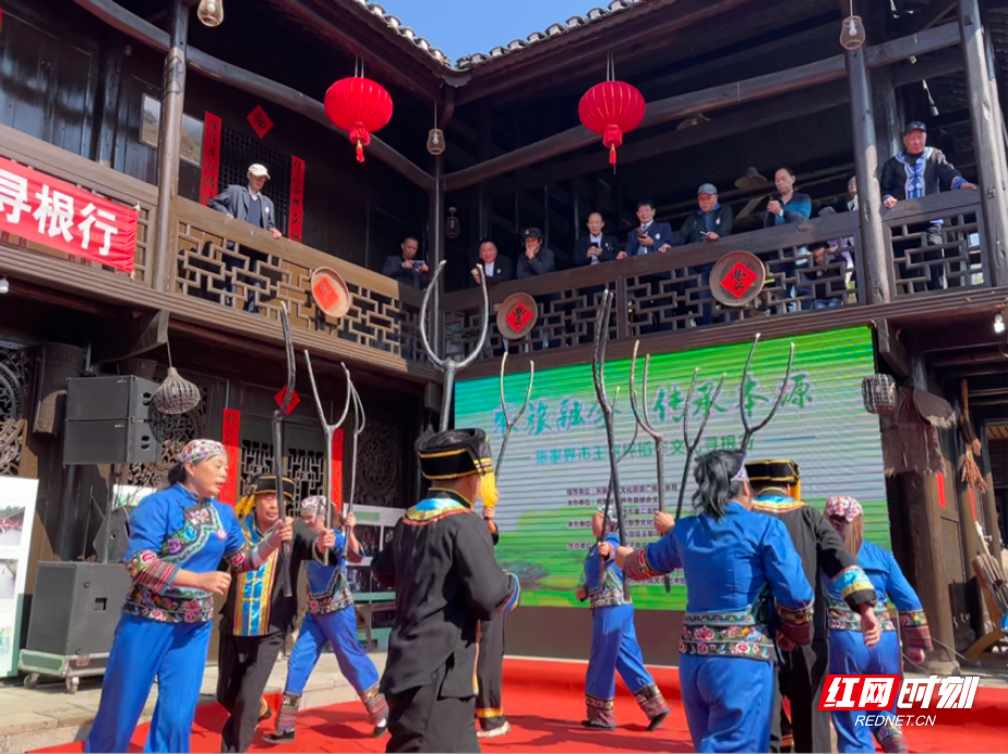张家界王家坪镇：稻作文化寻根行，共赴心灵与味蕾的双重盛宴  第4张