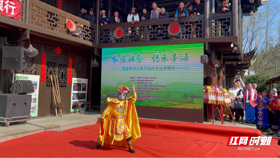 张家界王家坪镇：稻作文化寻根行，共赴心灵与味蕾的双重盛宴  第6张