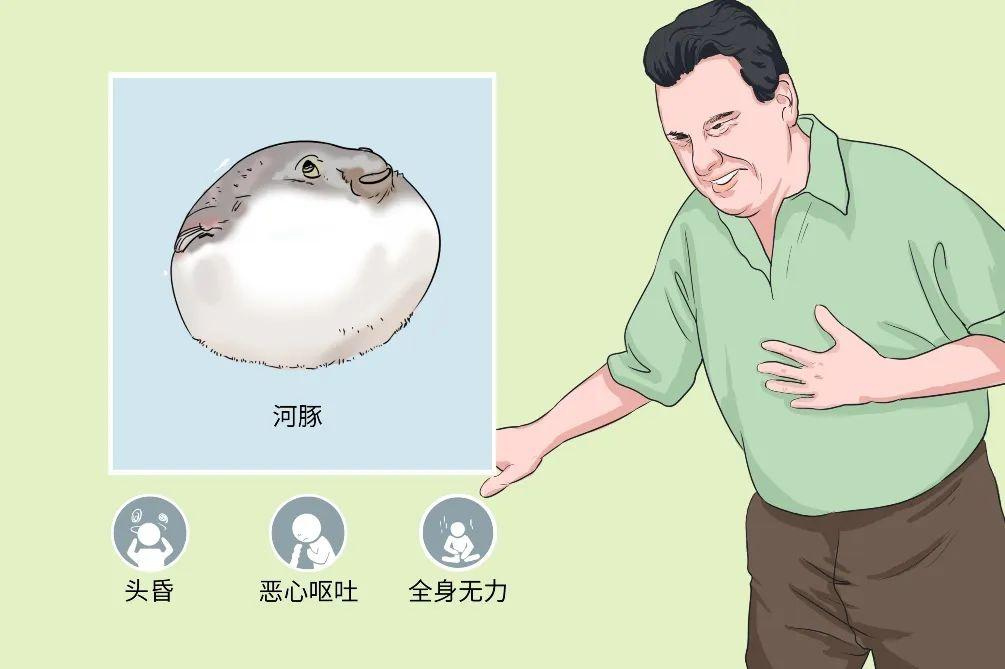 河豚毒素到底有多恐怖?0.5 毫克足以致命,比氰化钠还毒 100 倍 第5张 河豚毒素到底有多恐怖?0.5 毫克足以致命,比氰化钠还毒 100 倍 第5张