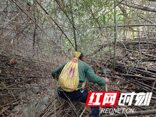 干旱中的奇迹：康庄村500人齐心协力，一个月内寻得三处泉水，解决饮水危机  第1张