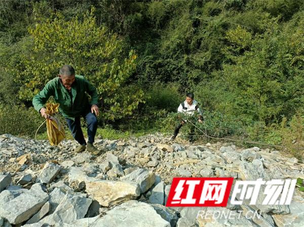 干旱中的奇迹：康庄村500人齐心协力，一个月内寻得三处泉水，解决饮水危机  第2张