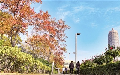 郑东新区的冬日色彩：火焰般的红与金色的雪，你见过吗？  第2张