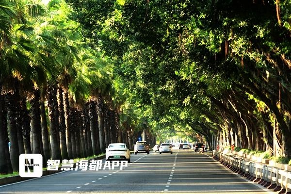 榕城阳光温暖如春，29日低温创下半年新低，9℃来袭  第2张