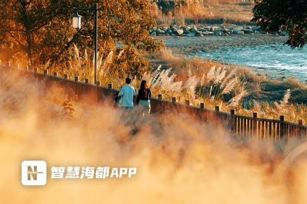 榕城阳光温暖如春，29日低温创下半年新低，9℃来袭  第4张
