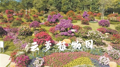 云萝植物园明日盛大开园，1500余种珍稀植物等你来探索