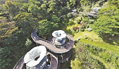 云萝植物园明日盛大开园，1500余种珍稀植物等你来探索  第2张