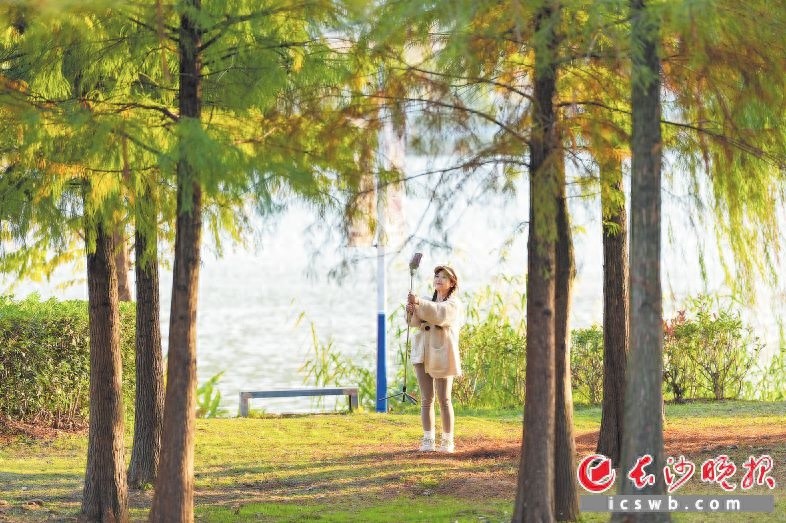 告别阴雨，长沙迎来久违晴天！市民纷纷走出家门，享受冬日温暖时光