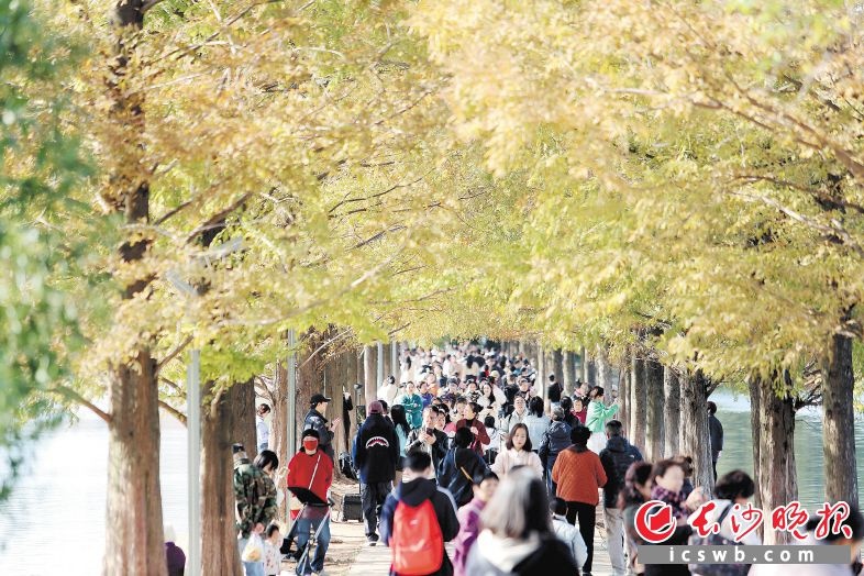 告别阴雨，长沙迎来久违晴天！市民纷纷走出家门，享受冬日温暖时光  第2张