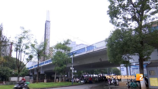 圆通大桥斜拉索更换：33年老桥的‘心脏’手术，你了解多少？  第3张