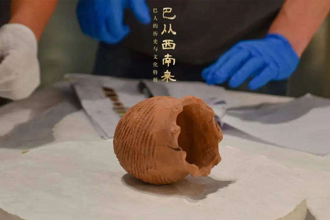 11月29日，山西青铜博物馆揭秘巴字背后的千年历史与文化宝藏  第1张