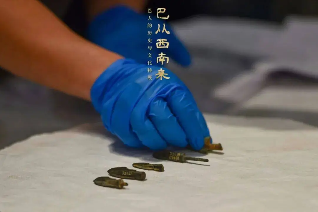 11月29日，山西青铜博物馆揭秘巴字背后的千年历史与文化宝藏  第2张
