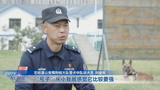 8岁警犬号子：从警界汪汪队到全国冠军，它的鼻子有多灵？  第2张