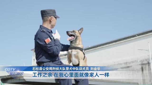 8岁警犬号子：从警界汪汪队到全国冠军，它的鼻子有多灵？  第4张