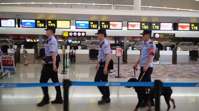 8岁警犬号子：从警界汪汪队到全国冠军，它的鼻子有多灵？  第6张