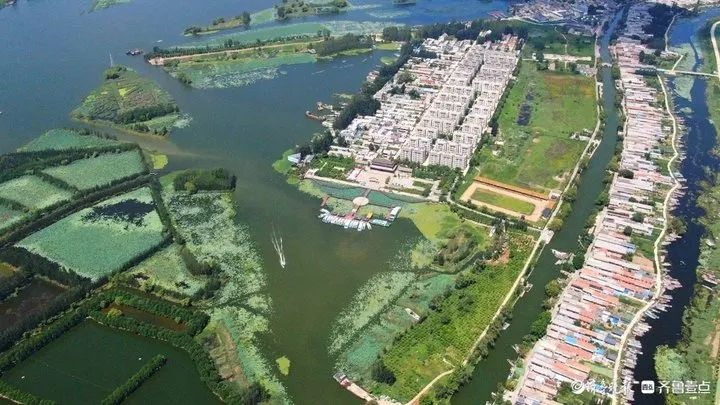 20年治污奇迹！南四湖水质100%优良，微山湖大闸蟹丰收，湖区乡村振兴蓝图成真  第9张