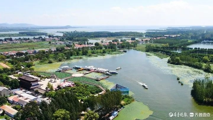 20年治污奇迹！南四湖水质100%优良，微山湖大闸蟹丰收，湖区乡村振兴蓝图成真  第10张