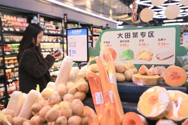 贵阳盒马鲜生大田菜专区：0.98元每斤的平价菜，新鲜直达你的餐桌  第2张