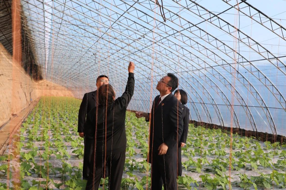 从麻将桌到法庭：一场意外引发的温情司法故事  第2张
