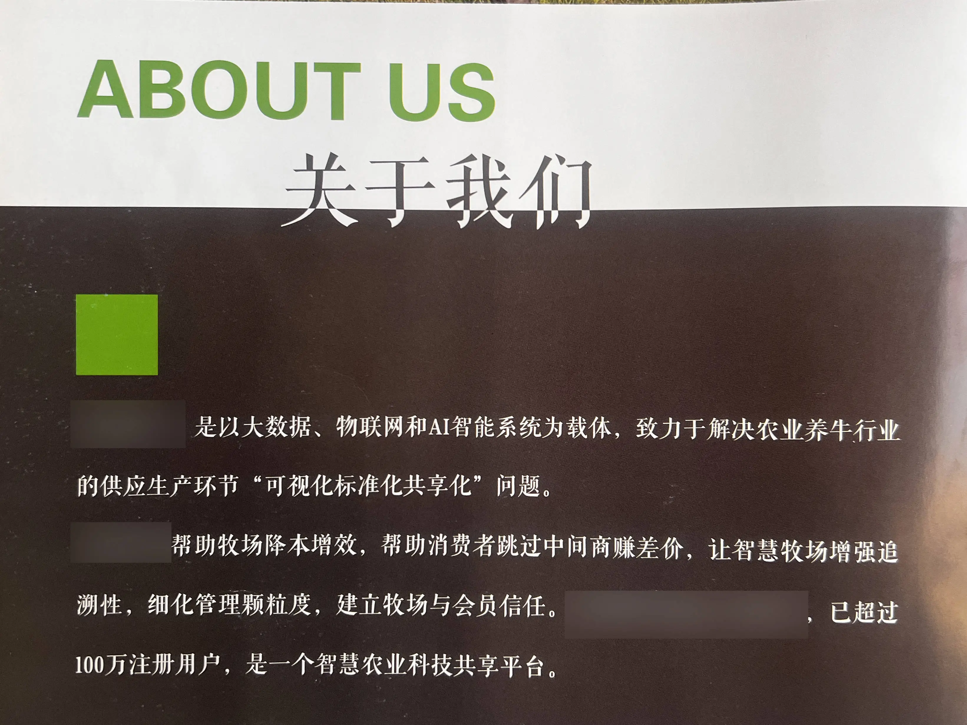 300万投资变6万斤牛肉？揭秘云养牛背后的非法集资骗局  第1张