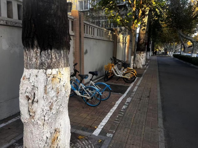 门前五包再升级！杆石桥街道精细化管理，打造城市新面貌  第3张