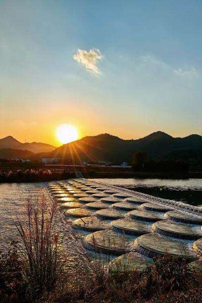 宁波首条生物多样性风景线揭秘：探秘自然奇观，感受生态魅力  第4张