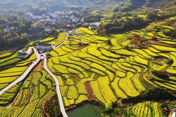 宁波首条生物多样性风景线揭秘：探秘自然奇观，感受生态魅力  第5张