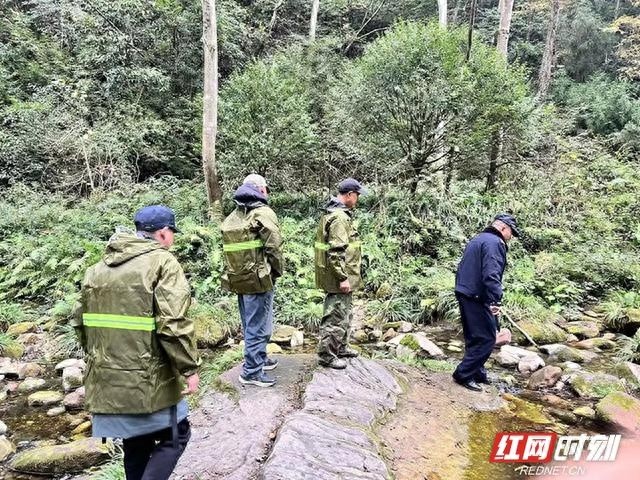 3个月地毯式清理，武陵源核心景区非法狩猎捕捞工具全销毁，安全一片