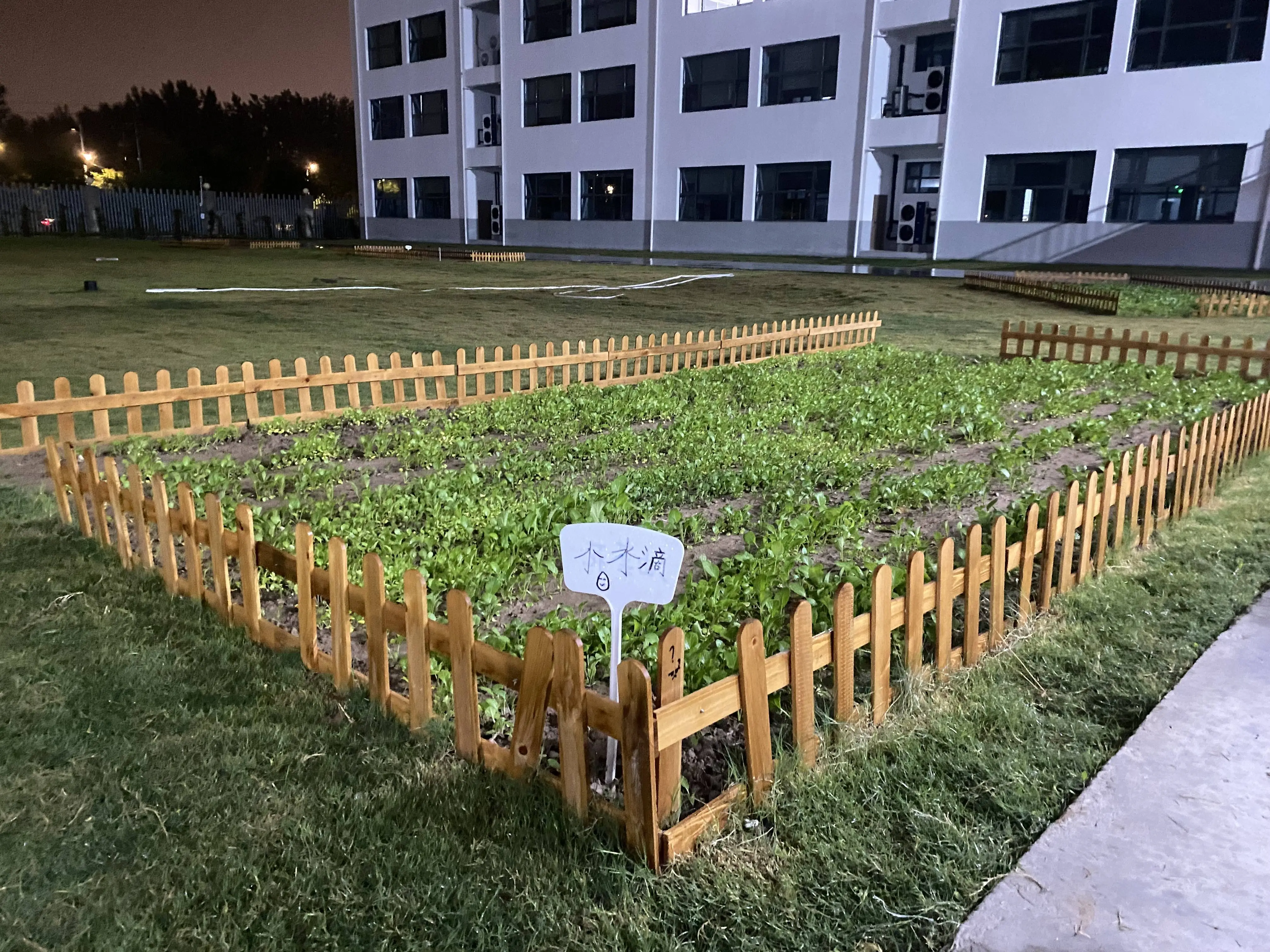 憎恨英文的高中生独自游英国,3000块火车票背后的惊人发现  第2张 憎恨英文的高中生独自游英国,3000块火车票背后的惊人发现  第2张