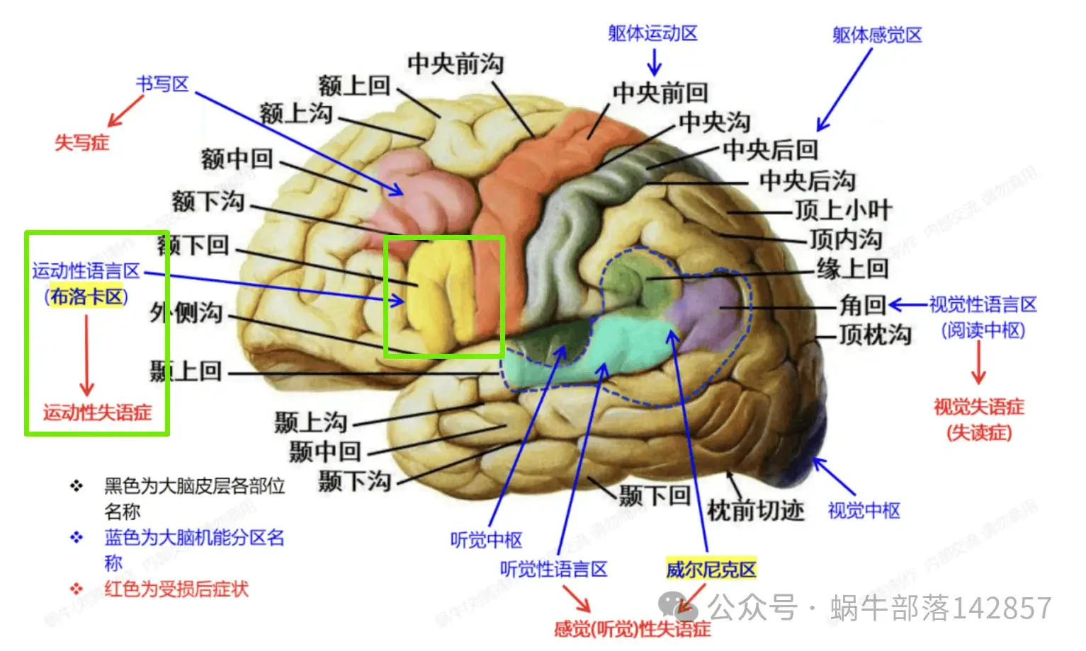 憎恨英文的高中生独自游英国,3000块火车票背后的惊人发现  第3张 憎恨英文的高中生独自游英国,3000块火车票背后的惊人发现  第3张