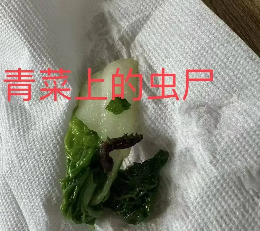 上海知名学校食堂惊现蜗牛、虫子，家长当场呕吐，食品安全何去何从？  第2张