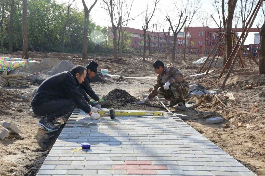 拆迁废墟变绿洲，商丘市新建口袋公园即将开放，居民期待已久