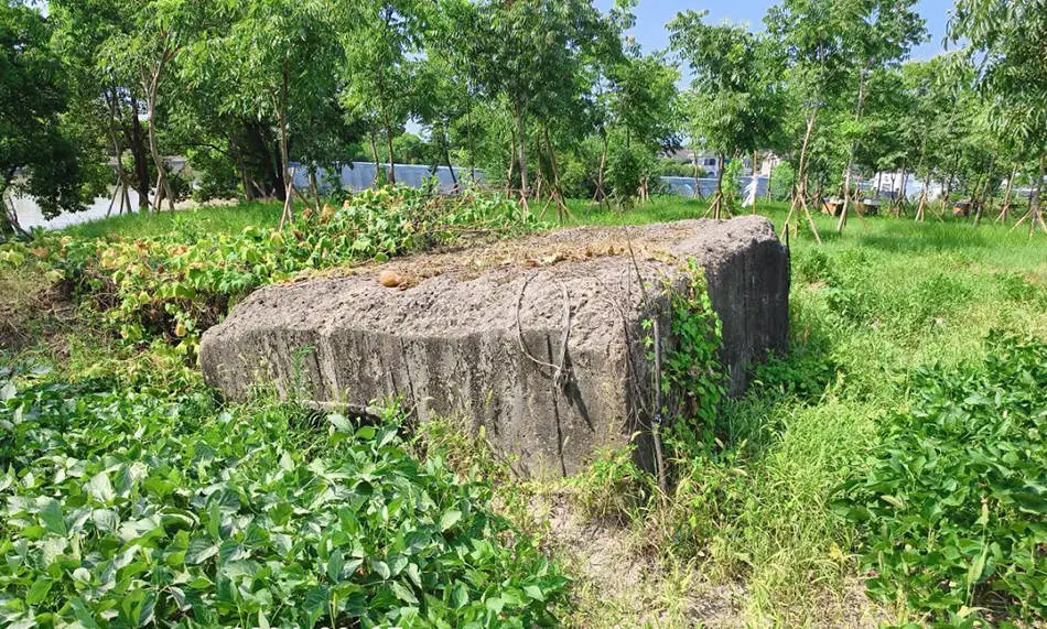 揭秘嘉定区文物保护点塌桥碉堡：历史遗迹竟成广告墙，谁来守护我们的记忆？  第2张