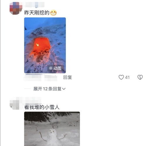 东北小孩的冬日狂欢：雪地游戏中的专属快乐，你羡慕了吗？  第5张