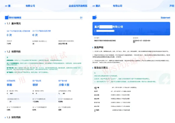 再查查涉诉大数据风控SaaS系统：破解不良资产处置难题，助力企业信用评估与决策  第5张