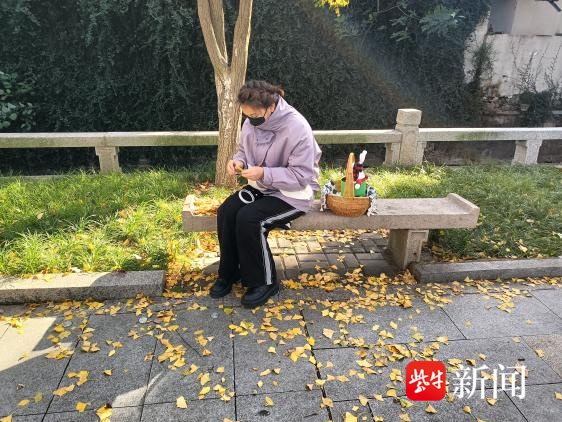 苏州银杏换金装，70个落叶景观区等你来打卡  第4张