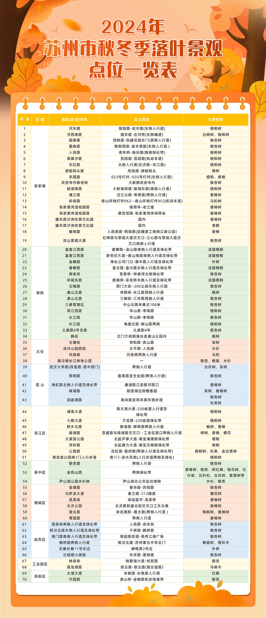 苏州银杏换金装，70个落叶景观区等你来打卡  第6张