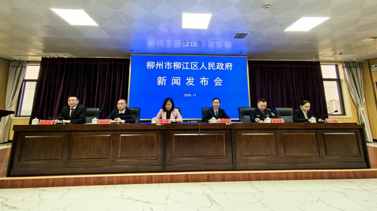柳江区高效办成一件事改革：一地一窗一次，888项政务服务一网通办，便民利企新标杆  第2张