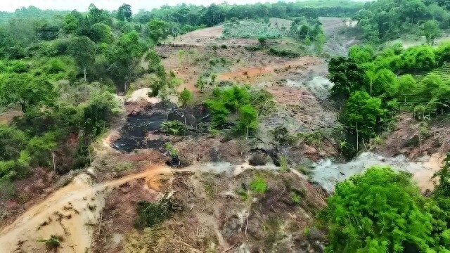 湖南13万亩未成林地遭灾损，2025年能否全面恢复？专家解读灾后重建之路  第1张